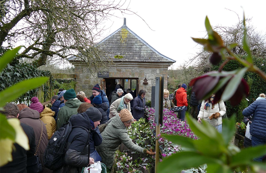 Review: Snowdrop Gala 2025