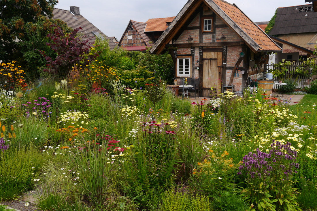 Drought Resistant Plantings