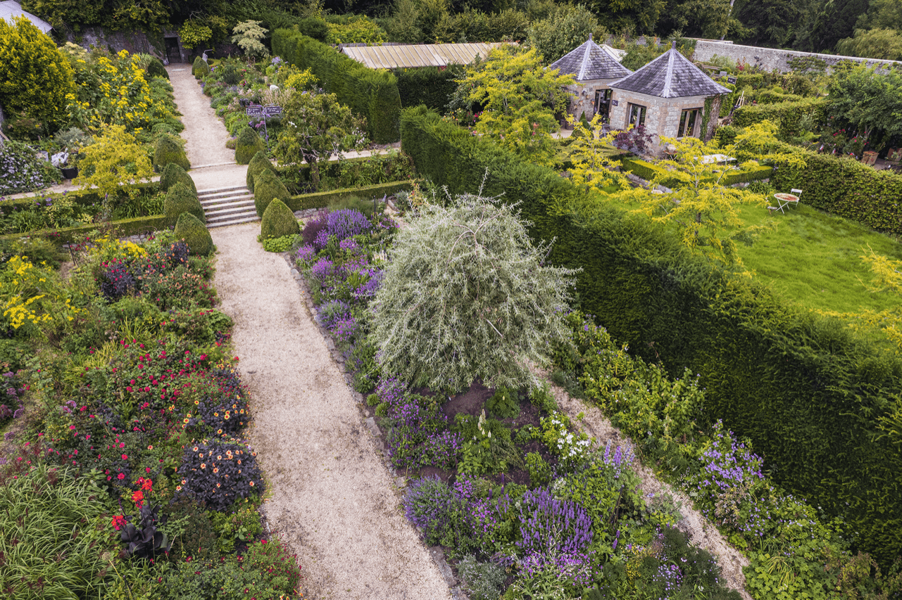 Image with text section