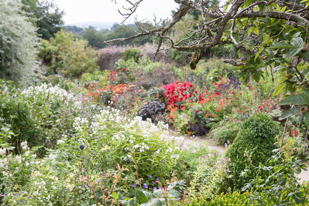 Image with text section