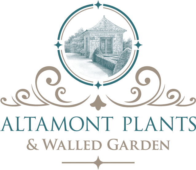 Altamont Plants Gift Cards