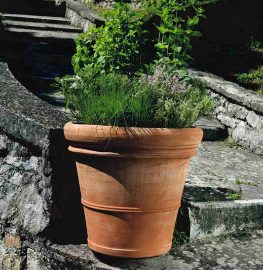 A Planted Double-border Florentine Terracotta Pot
