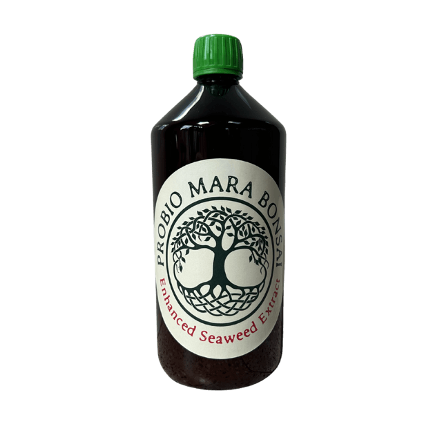 Probio Mara Bonsai - Enhanced Seaweed Extract