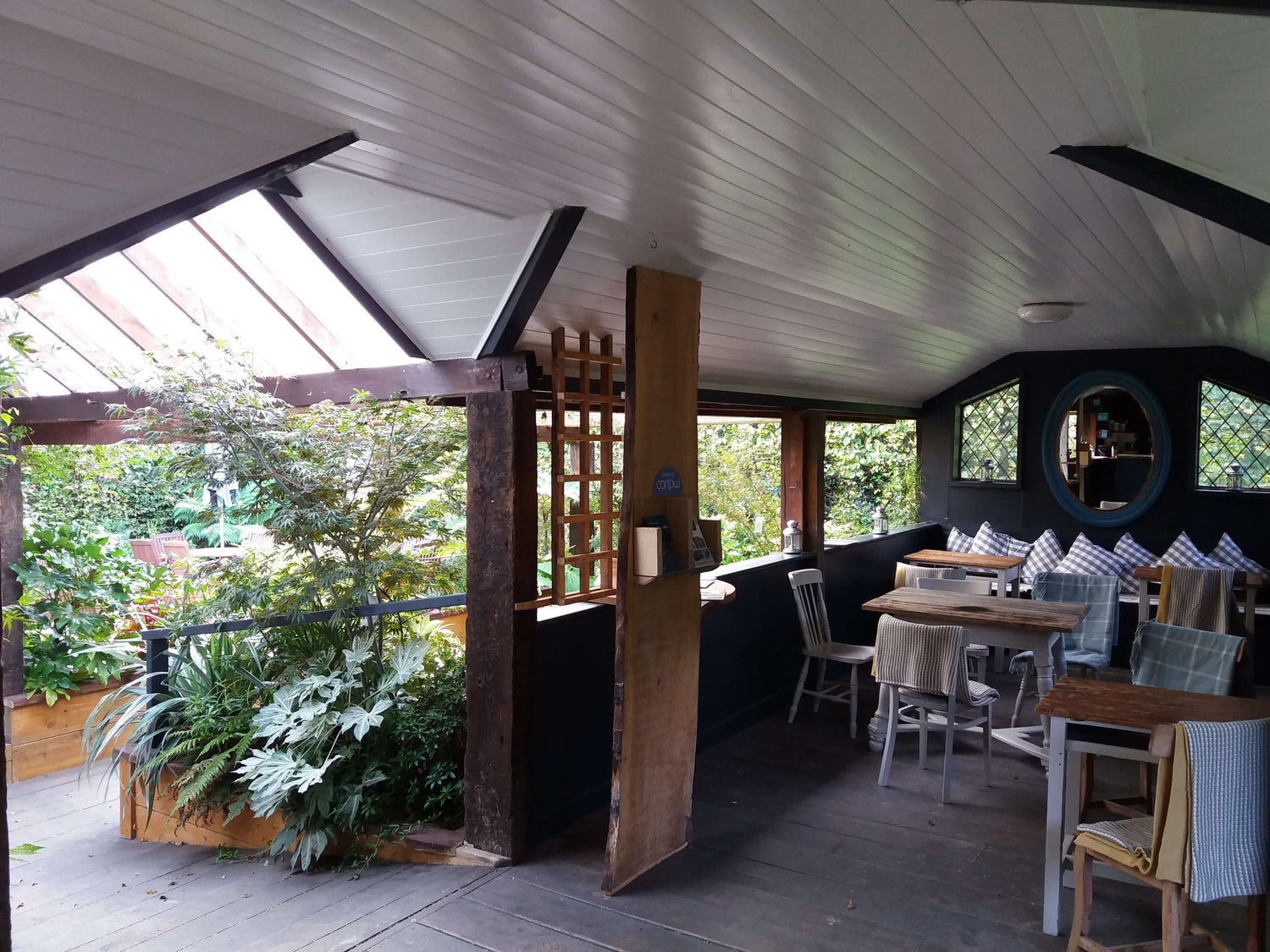 Image with text section