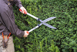 Hedge Trimmer