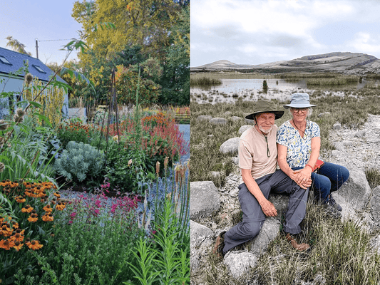The Garden in Autumn Weekend