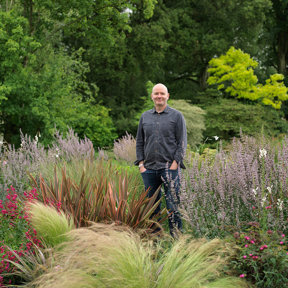 Great plants for every garden – and how to use them