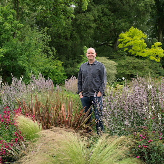 Great plants for every garden – and how to use them