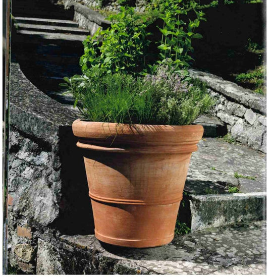 Italian Terracotta Pots at Altamont Plants