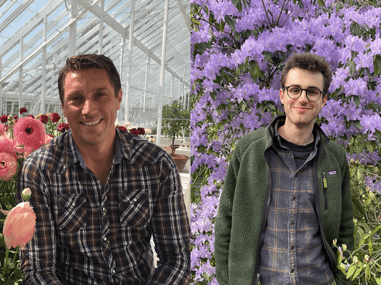 The Carlow Garden Festival