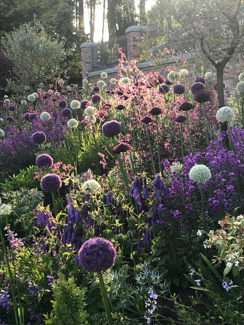 Selecting Trees and Shrubs to create your Autumn Wonderland