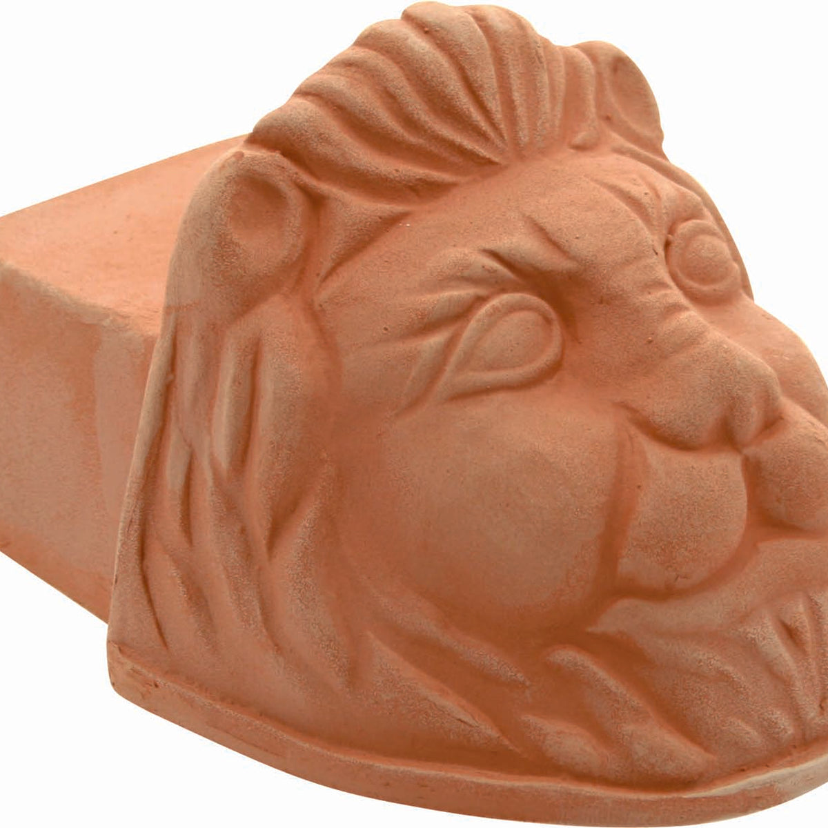 Lion Foot