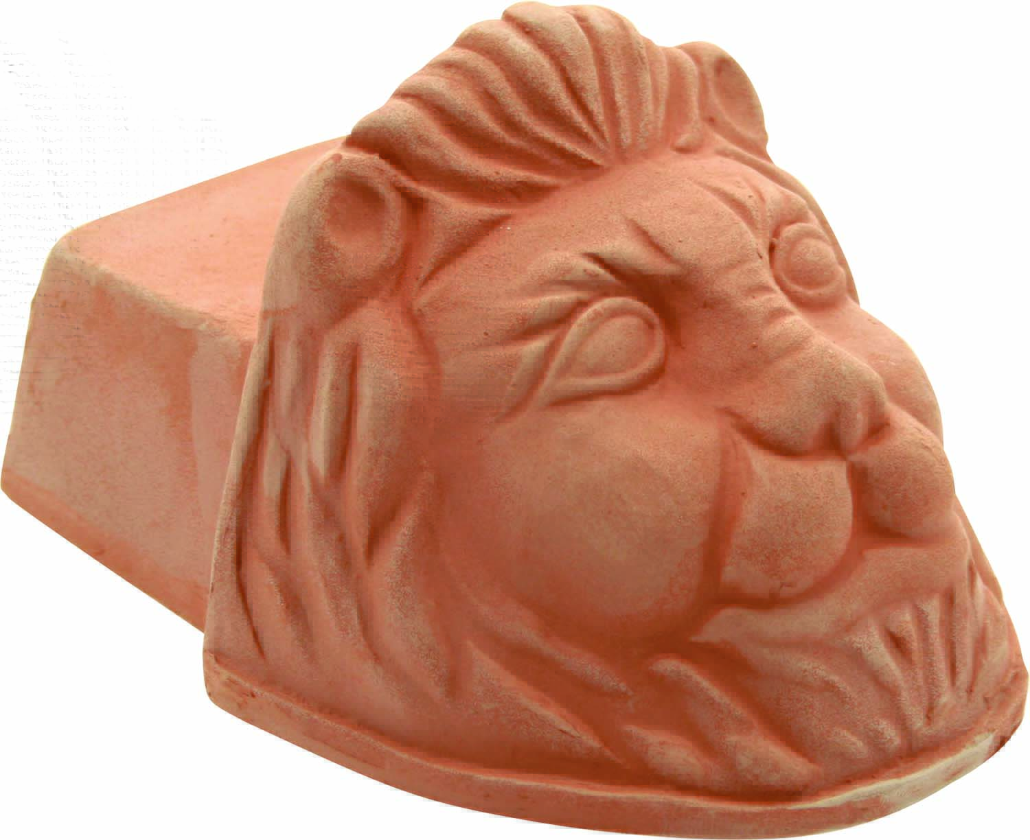 Lion Foot