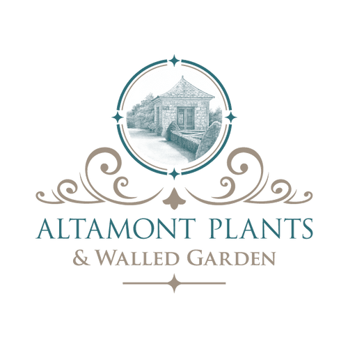 Altamont Plants