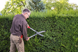 Hedge Trimmer